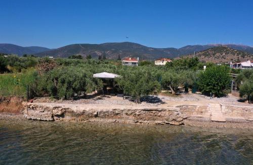 Kougaiika Villa | Villa of luxury and serenity