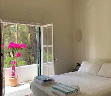 Kanapitsa Villa | Villa Rhodos Skiathos