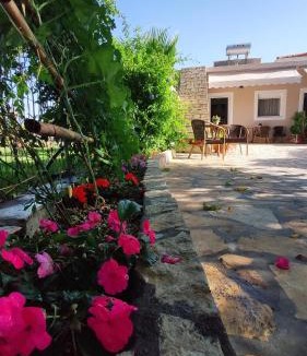 Parga Apartment | Villa Thalia