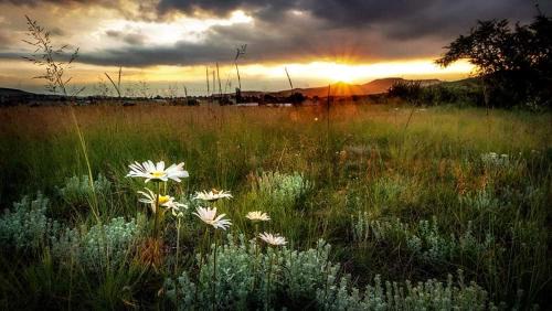 Wakkerstroom House | Wetlands Country House & Sheds