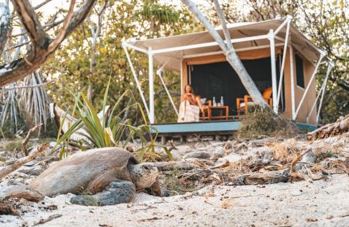 Wilson Island Resort | Wilson Island