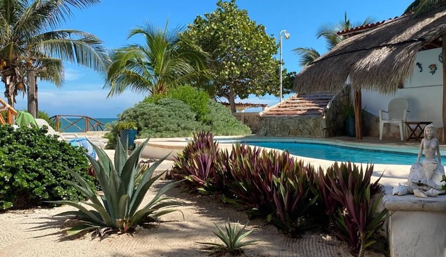 Charming single level beachfront home! Garden oasis & private waterfall pool.