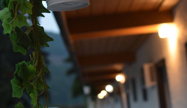 Monashee Motel