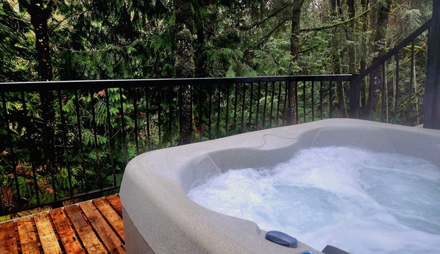 Private Basement suite, beautiful ravine! Perfect, Relaxation or Celebration 🤩
