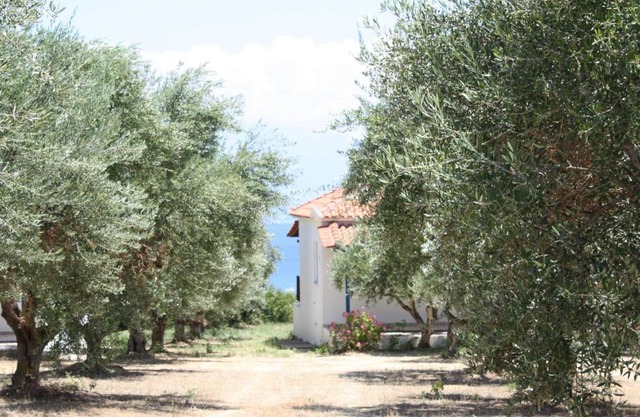AGGELIKI 5