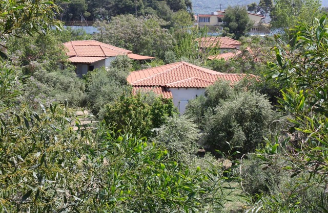 Calm Located Olive Grove The Beach Holiday 