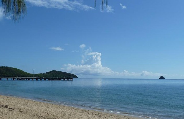 Palm Cove Tropic Apartments