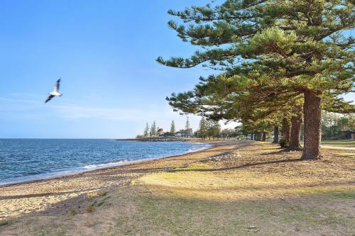 Scarborough Beach Resort 