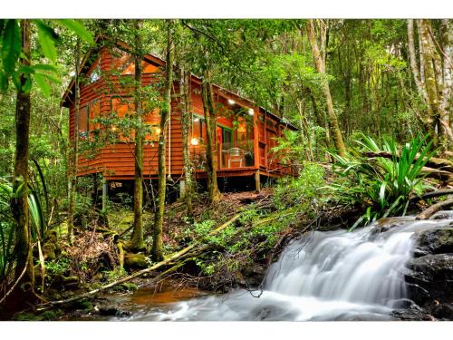 The Mouses Rainforest Retreat 