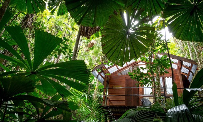 Cape Tribulation Resort | 27 m² Resort ∙ 127 guests