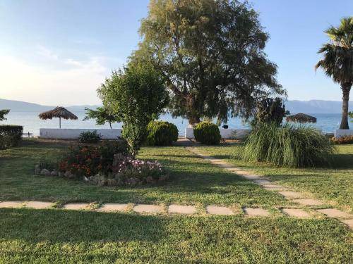 Xirolivado Apartment | 30 m² Serviced apartment ∙ 2 guests
