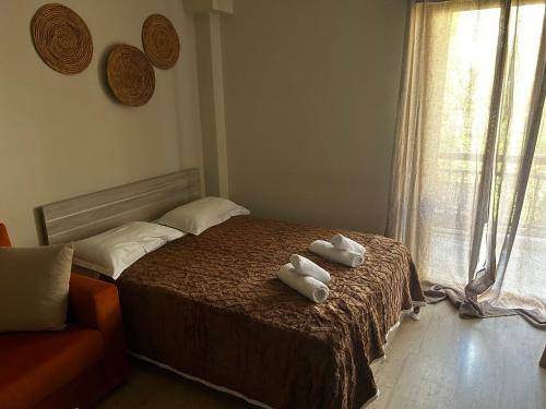 Karystos Apartment | 35 m² Apartment ∙ 1 bedroom ∙ 3 guests