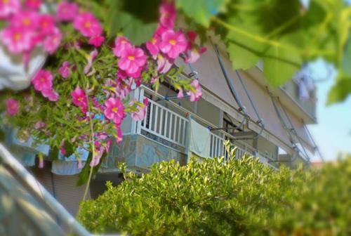 Toroni Apartment | 40 m² Serviced apartment ∙ 4 guests