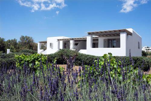 Chrissi Akti Apartment | 45 m² Apartment ∙ 2 bedrooms ∙ 5 guests