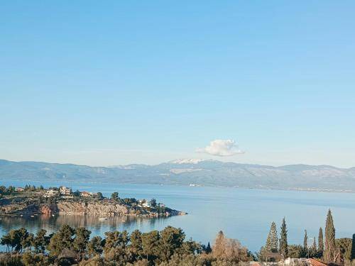 Chalcis Apartment | 90 m² Apartment ∙ 1 bedroom ∙ 6 guests