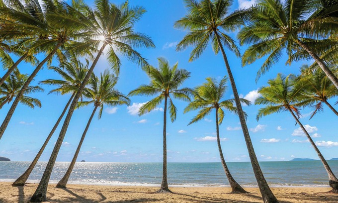 Palm Cove Apartment | Alamanda Palm Cove by Lancemore