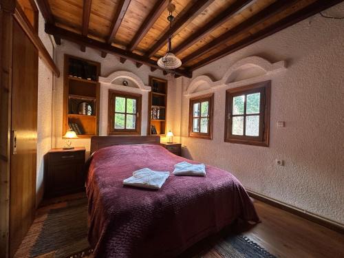 Arachova Apartment | Arctic Loft by Ski Alure