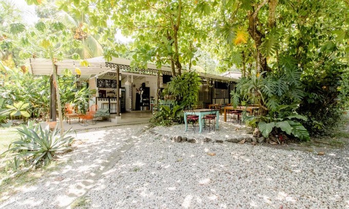 Carmen Bed & Breakfast | Bajo el Arbol B&B