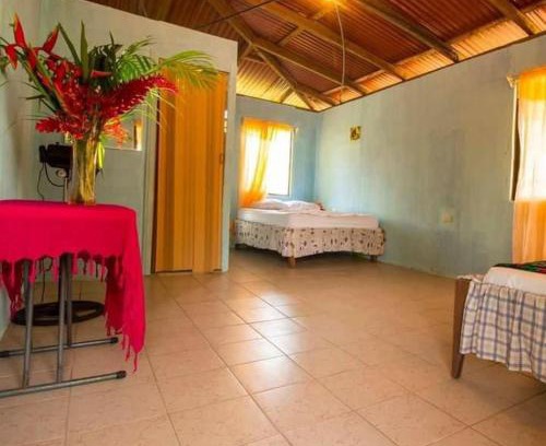 Tortuguero Hotel | Cabinas beyetty