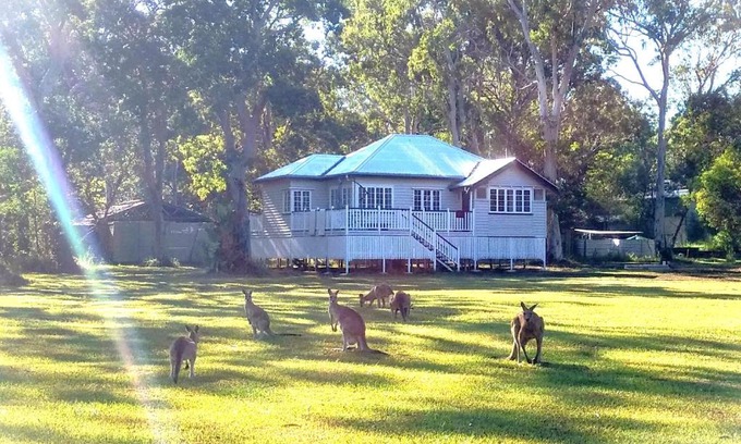 Peregian Beach Cabin | Lake Weyba Noosa Lodge & Kangaroos