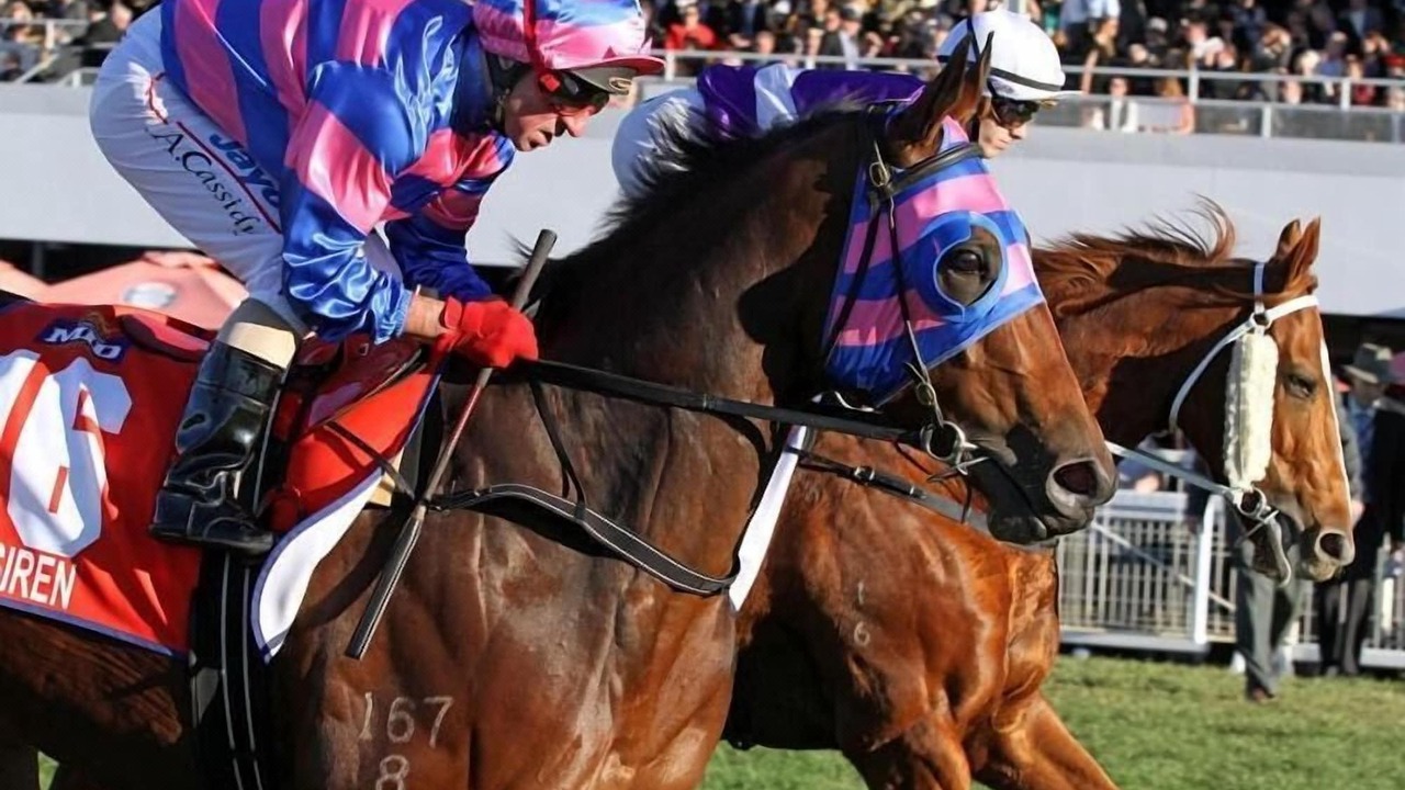 Photo of Human In Picture in Ascot