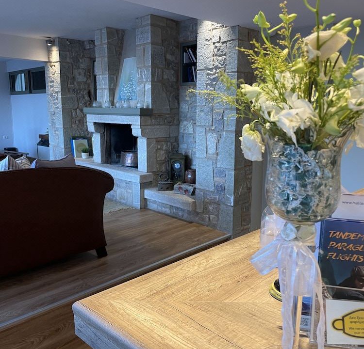 Photo of Livingroom in Delfoi