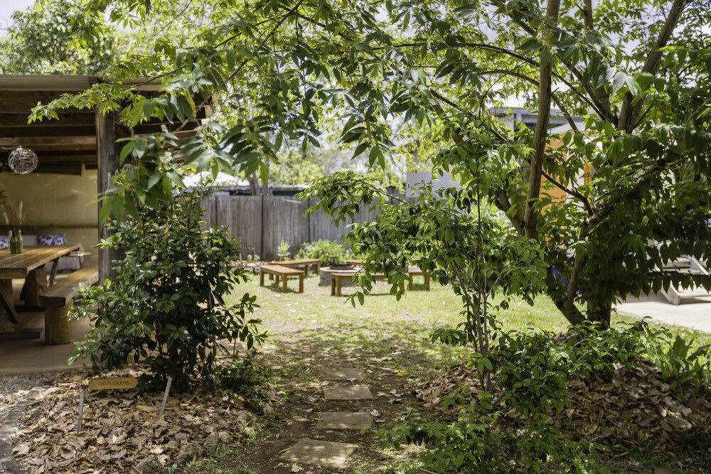 Photo of Others in Yungaburra
