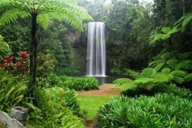 Photo of Others in Yungaburra