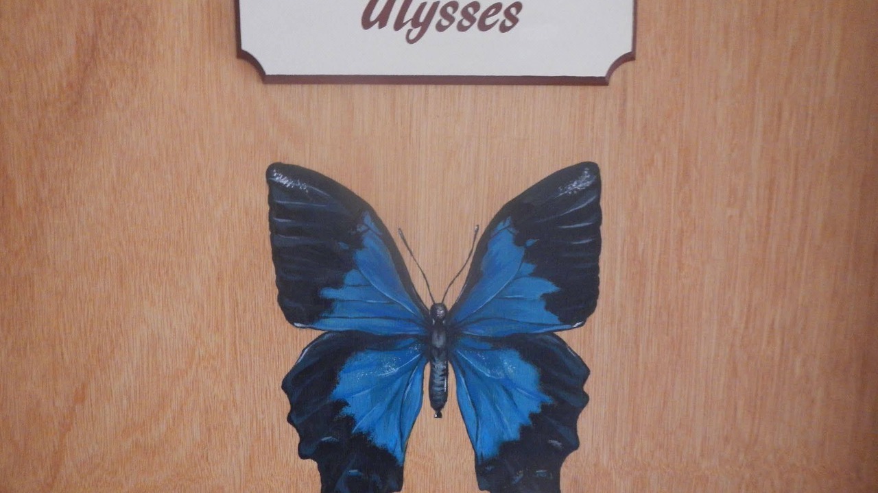 Photo of Others in Yungaburra