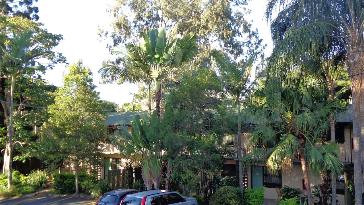 Photo of Others in Indooroopilly