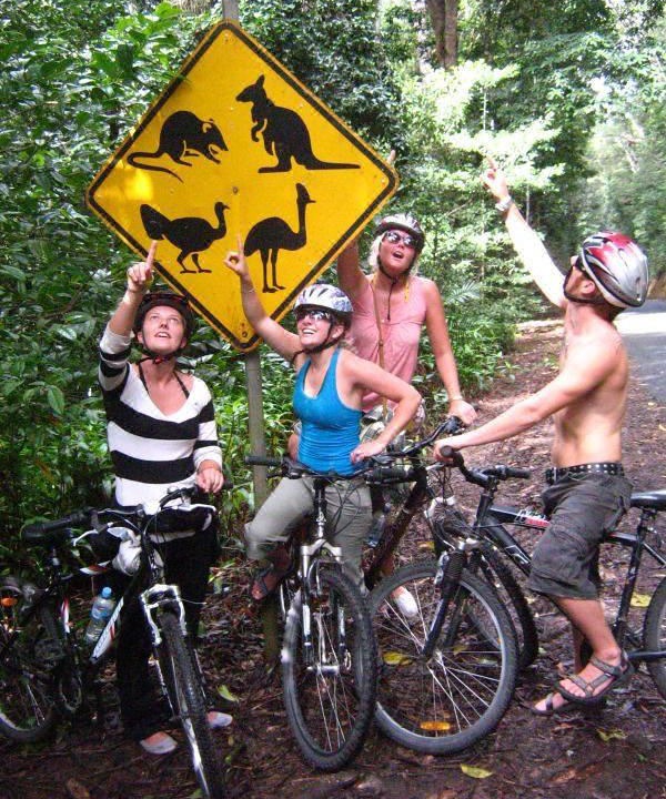 Photo of Others in Yungaburra