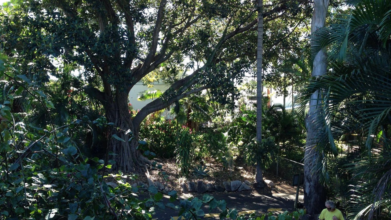 Photo of Outdoor in Indooroopilly