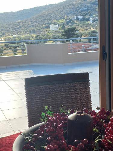 Photo of Patio Balcony in Kropia