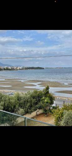 Photo of Others in Chalcis