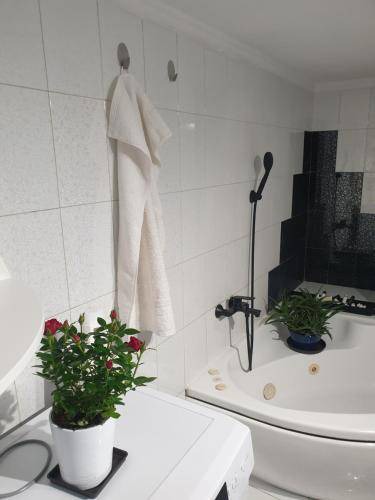 Photo of Bathroom in Kalamaria