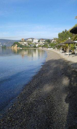 Photo of Others in Glyfa