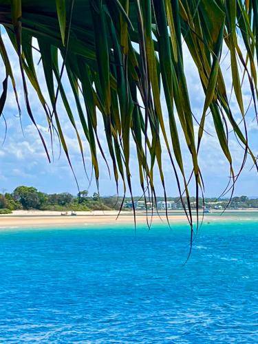 Photo of Others in Noosa Heads