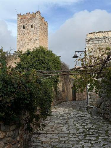 Photo of Others in Areopoli