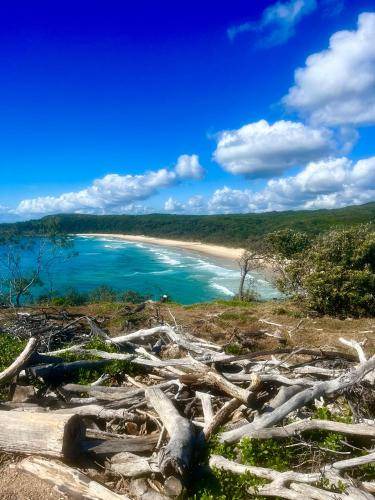 Photo of Others in Noosa Heads