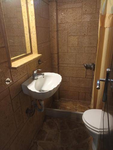 Photo of Bathroom in Platistomo