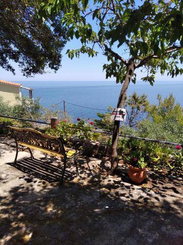 Photo of Others in Limnionas