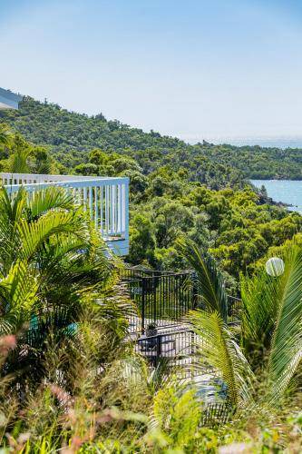 Photo of Others in Shute Harbour
