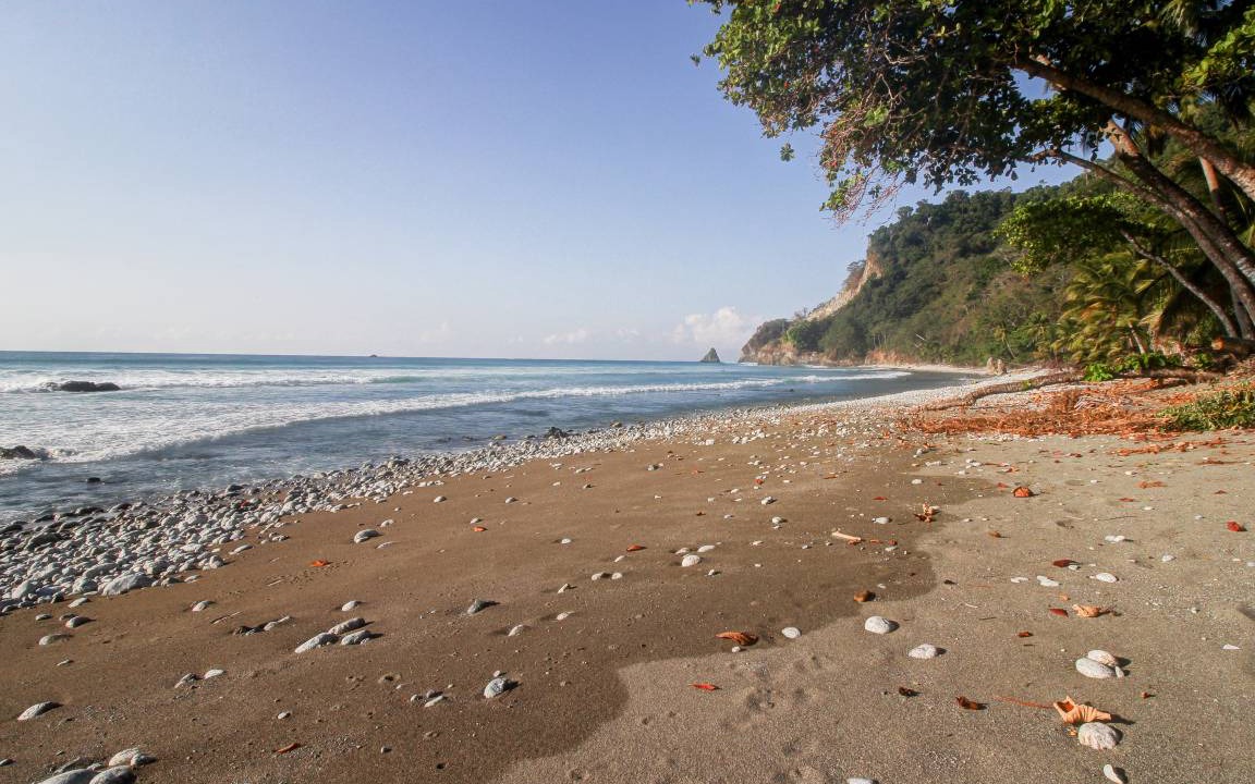Photo of Others in Cabo Matapalo