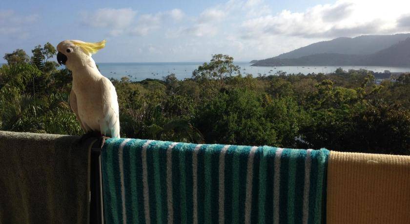 Photo of Others in Airlie Beach