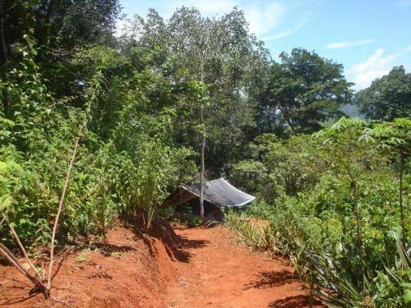 Photo of Others in Sierpe