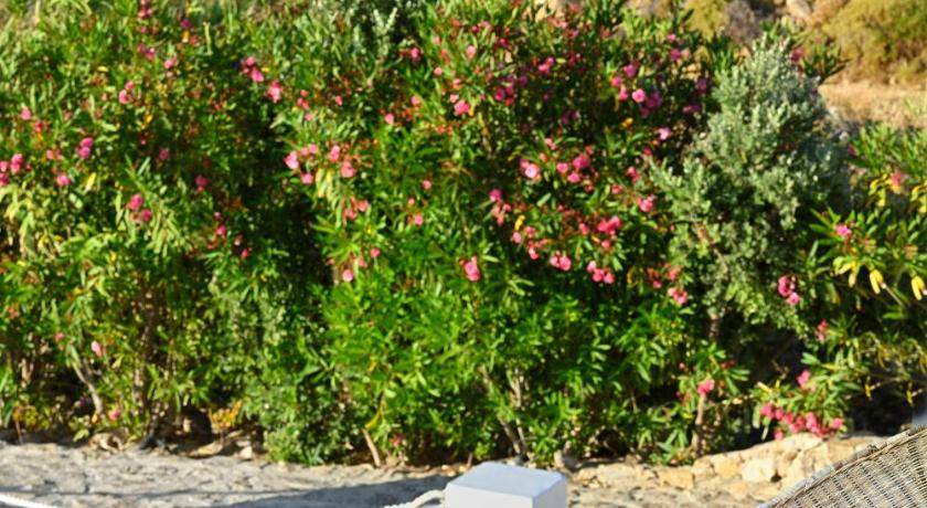 Photo of Outdoor in Ftelia