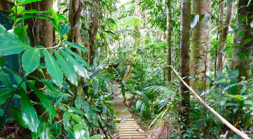 Photo of Others in Kuranda