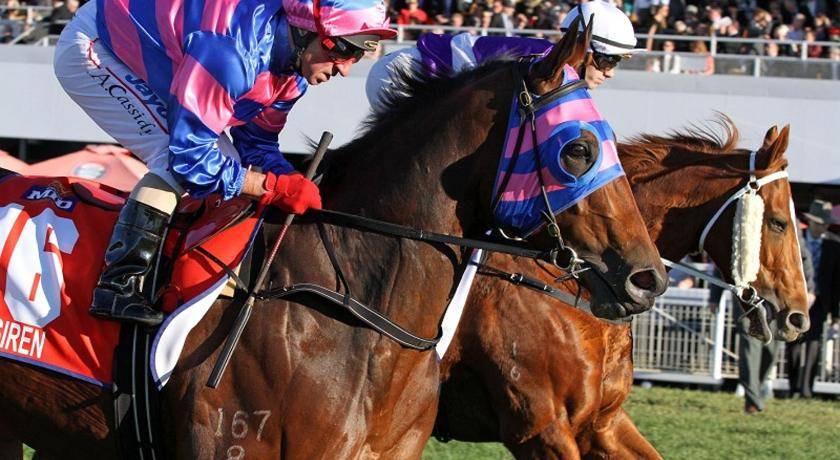 Photo of Others in Ascot