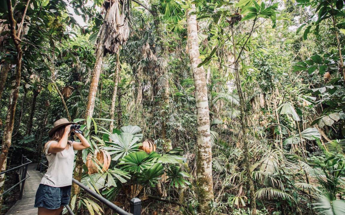 Photo of Others in Cape Tribulation