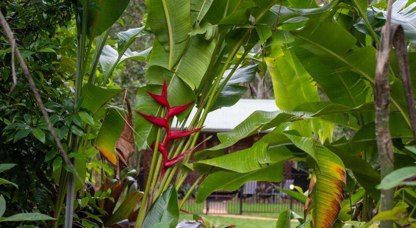 Photo of Others in West Woombye